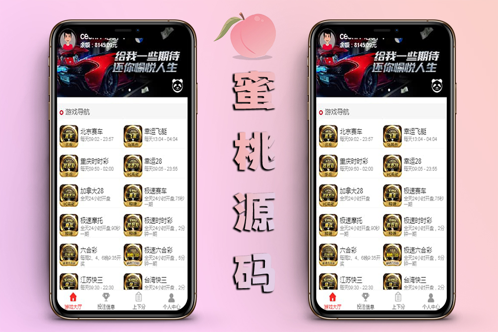 完美飞鸟源码集成飞单功能与代理模式服务器打包