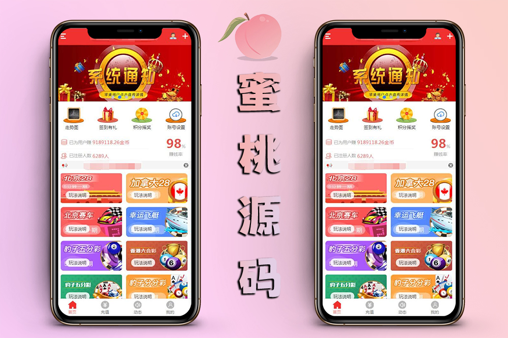 完整开源版28系统源码（NET开发）+支持代理功能