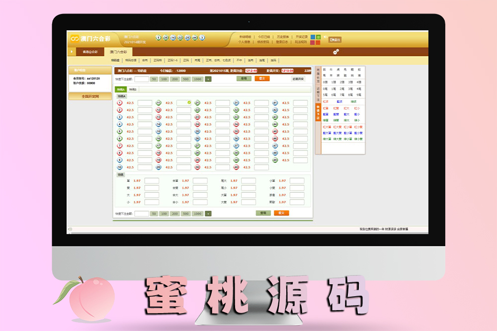 OA系统NET专业版源码完整版本 + 六和与澳门香港玩法结合