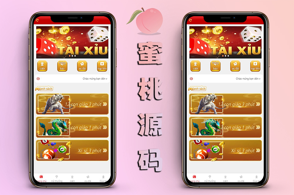 虚拟币USDT哈希竞猜平台源码专业运营全功能