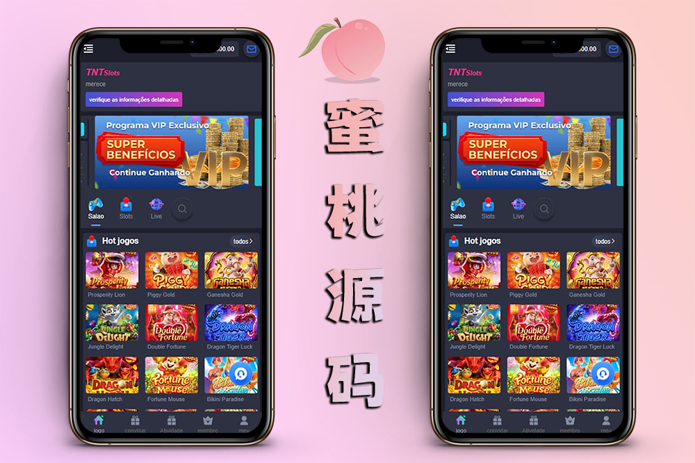 ThinkPHP开发PG源码/完整版巴西电子平台/NG接口支持