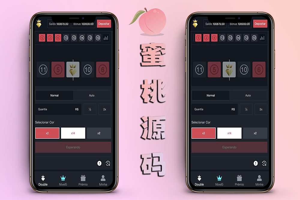 国外竞猜源码/黑白红自动机器人下单/前端VUE