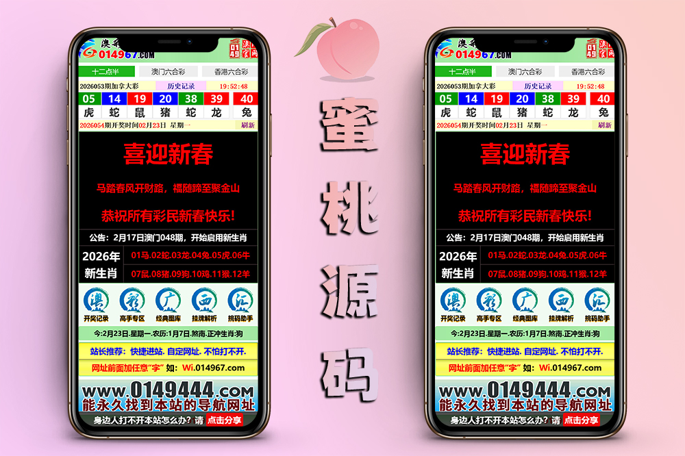 广西汇六合彩资料网站源码/前后端开源版/PC+手机自适应＋搭建教程