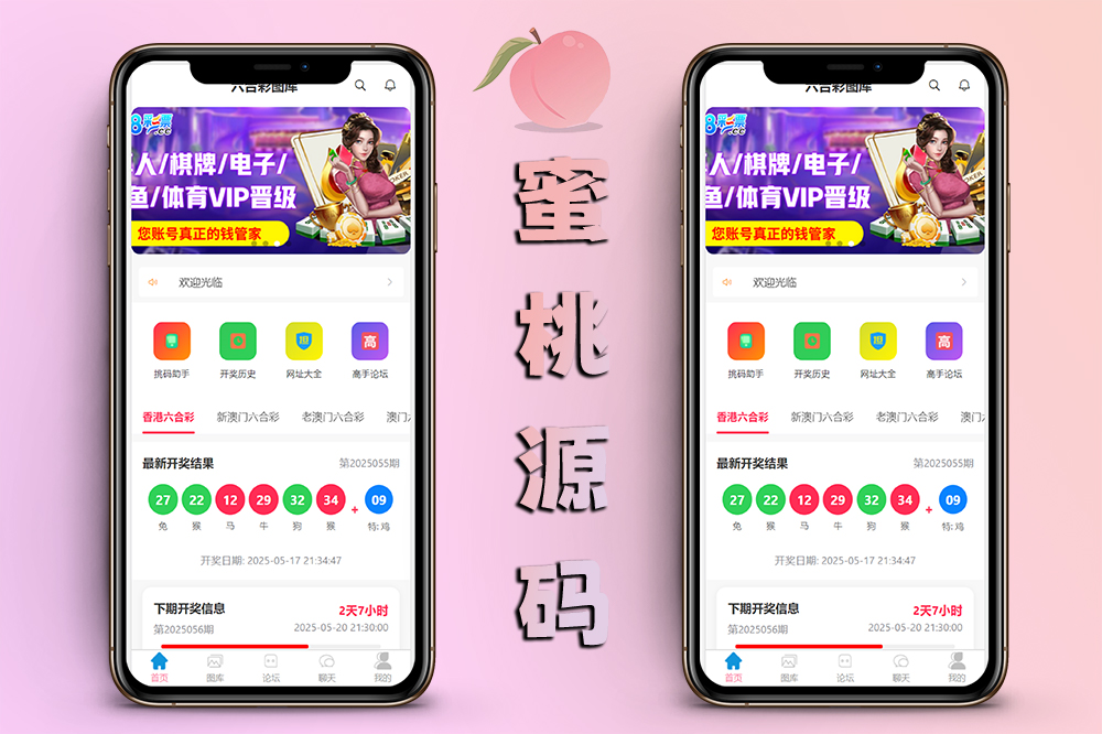 全新六合彩开奖源码/六合资料+高手交流+聊天室+竞猜系统+详细搭建说明