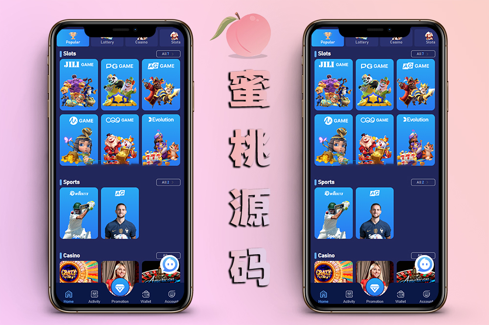 双语言印度综合盘CP系统/海外盘源码/后台可控/系统彩整合版